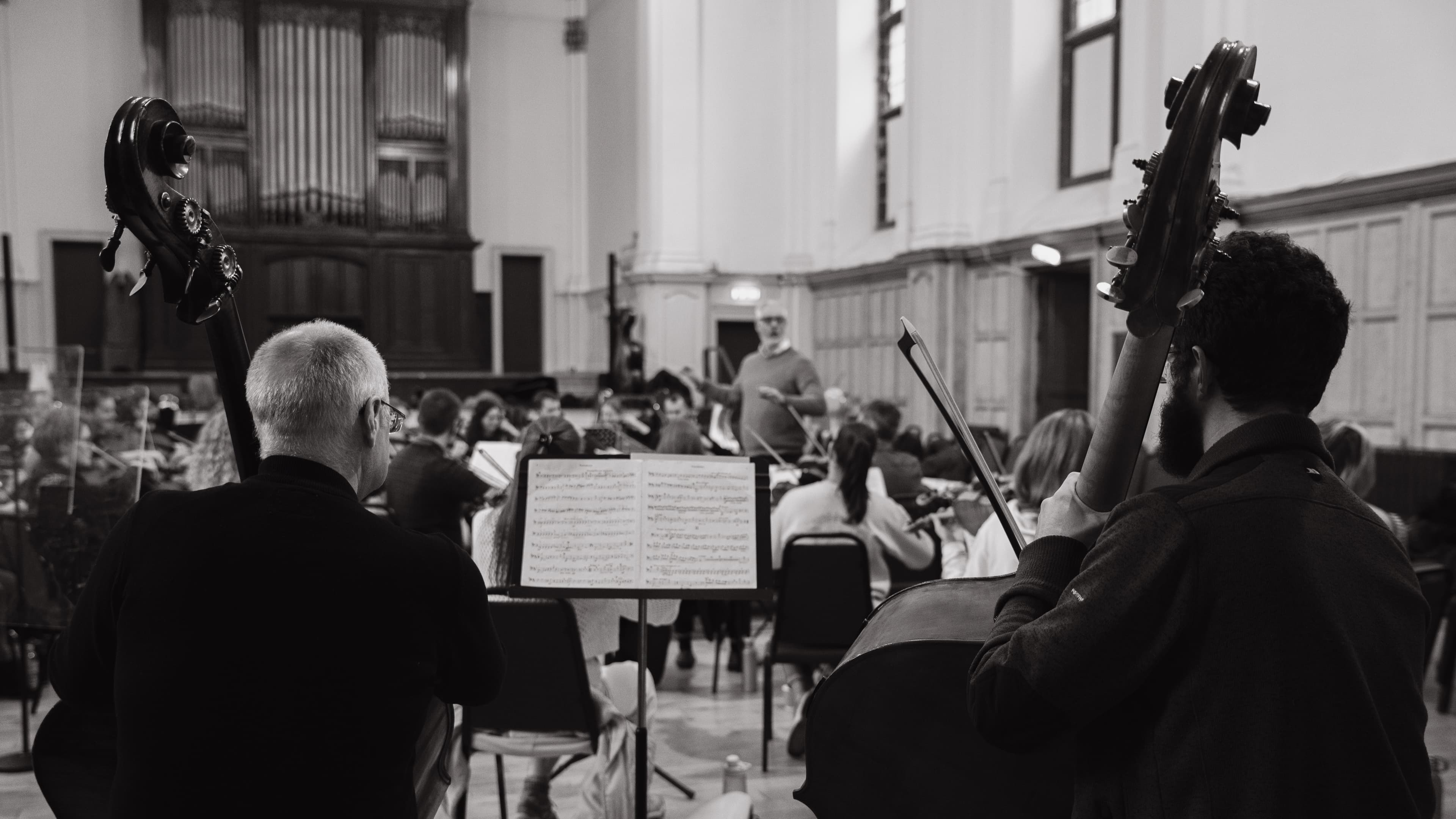 Two double bassists viewed from behind during an orchestra rehearsal, black and white