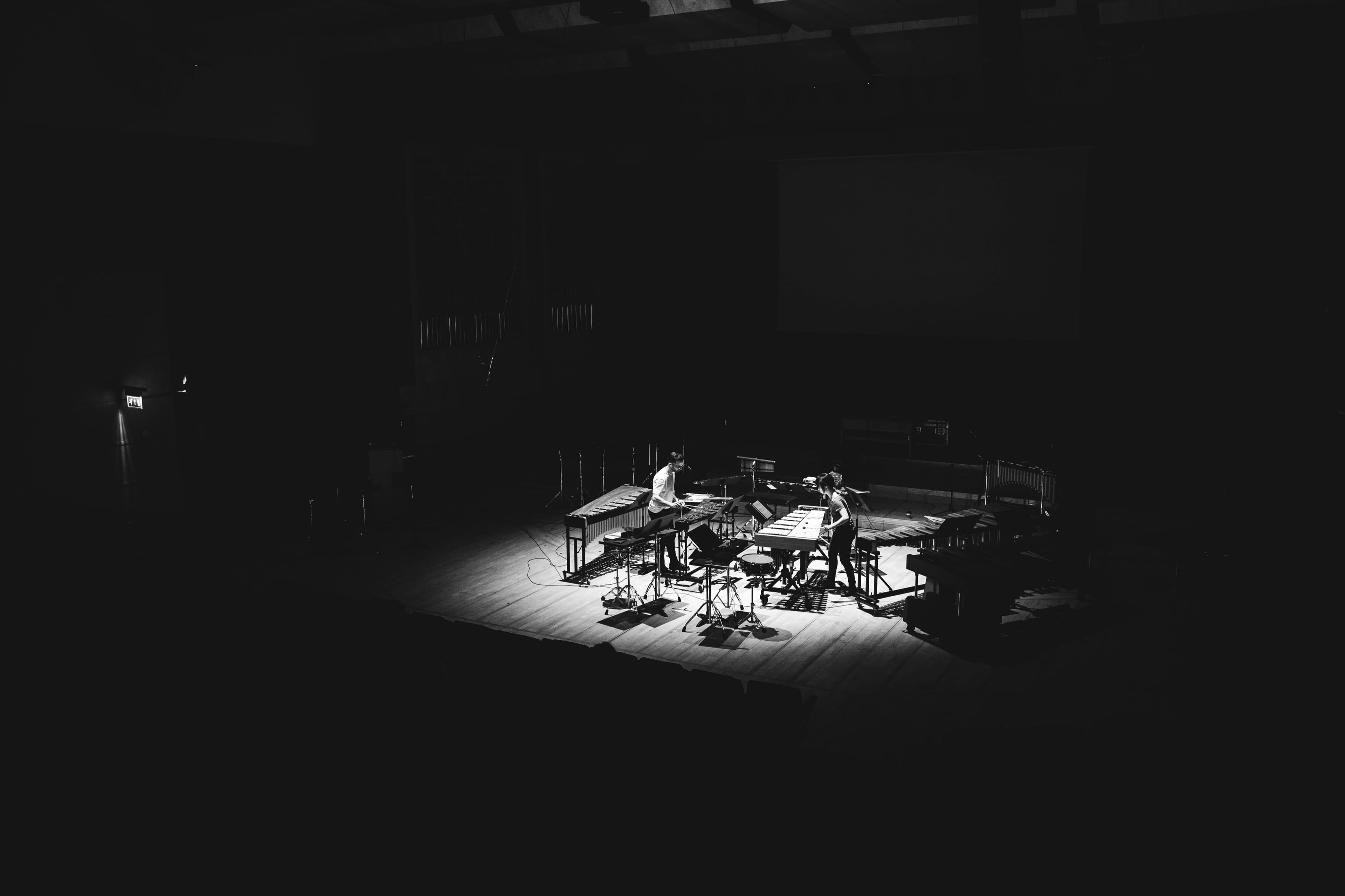 Two percussionists performing on marimba and vibraphone in a darkened hall